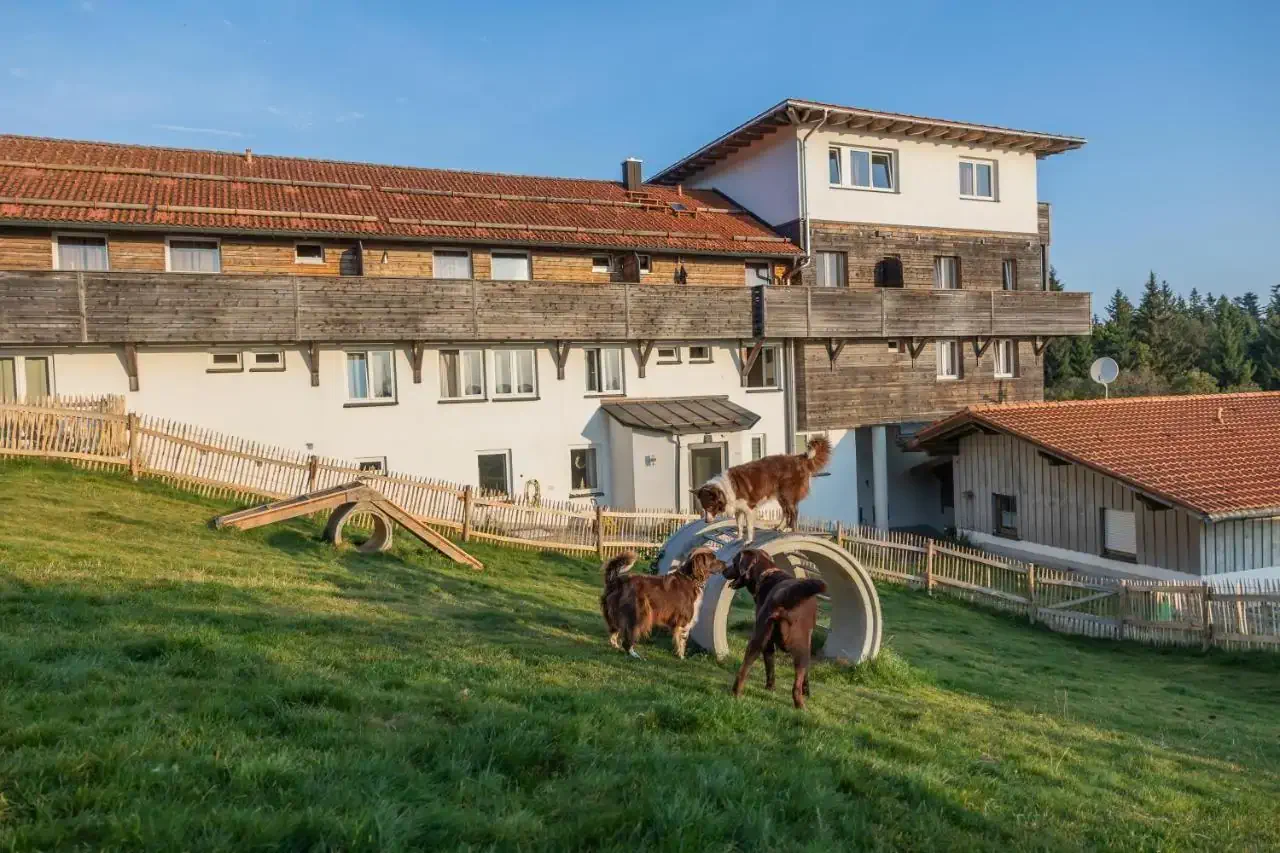 Old farm hotel building with space for dogs to play