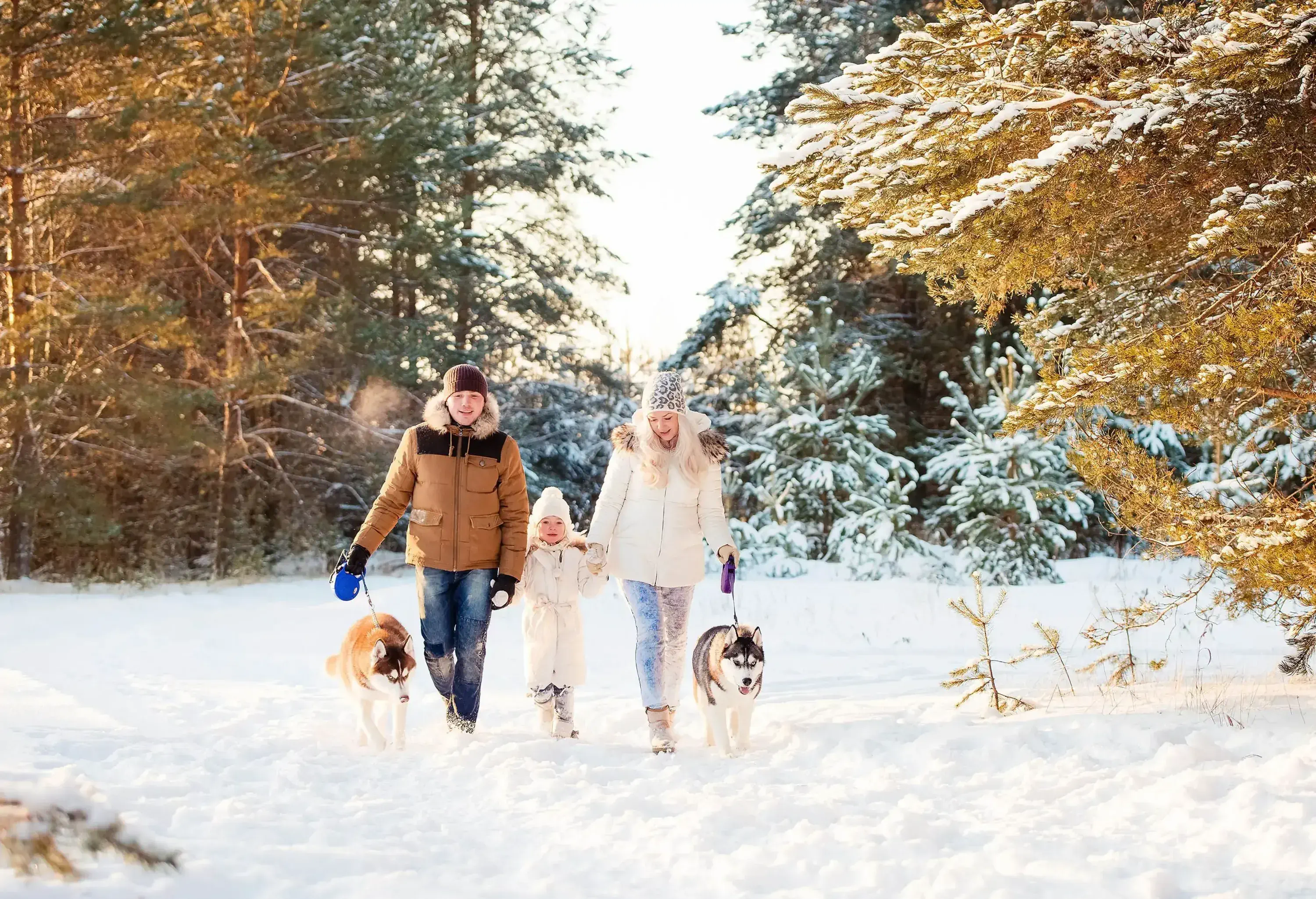 A family of three out for a stroll in the park covered in snow with two dogs in tow.