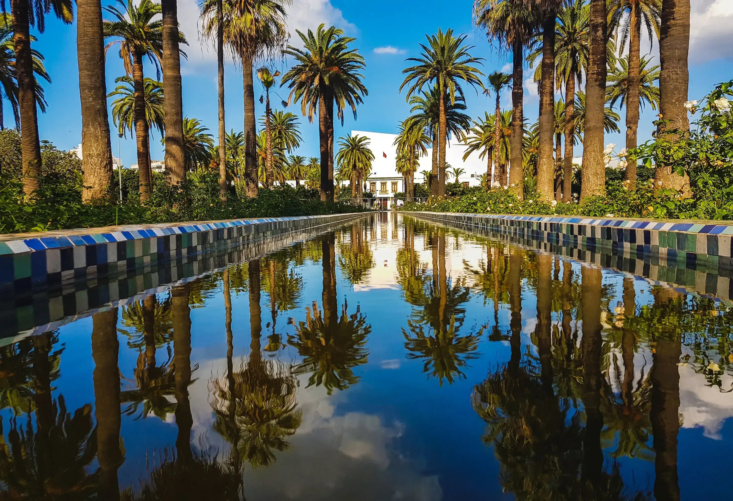 The Arab League Park in Casablanca, featuring a long, tranquil stretch of pool that extends into the distance, flanked on each side by a lush, orderly row of stately palm trees.