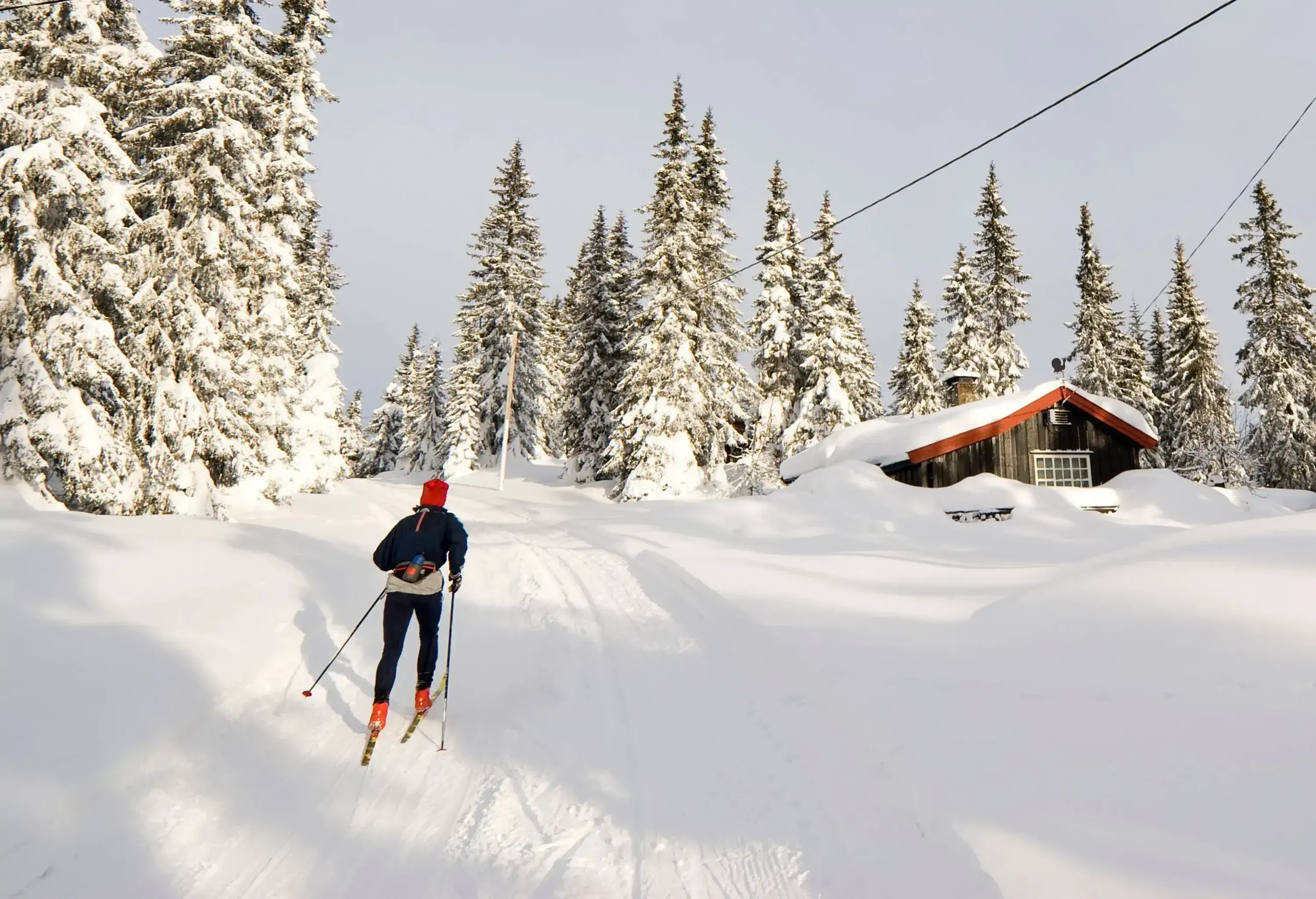 A male tourist glides over the snow towards a log cabin in the lush cypress trees.