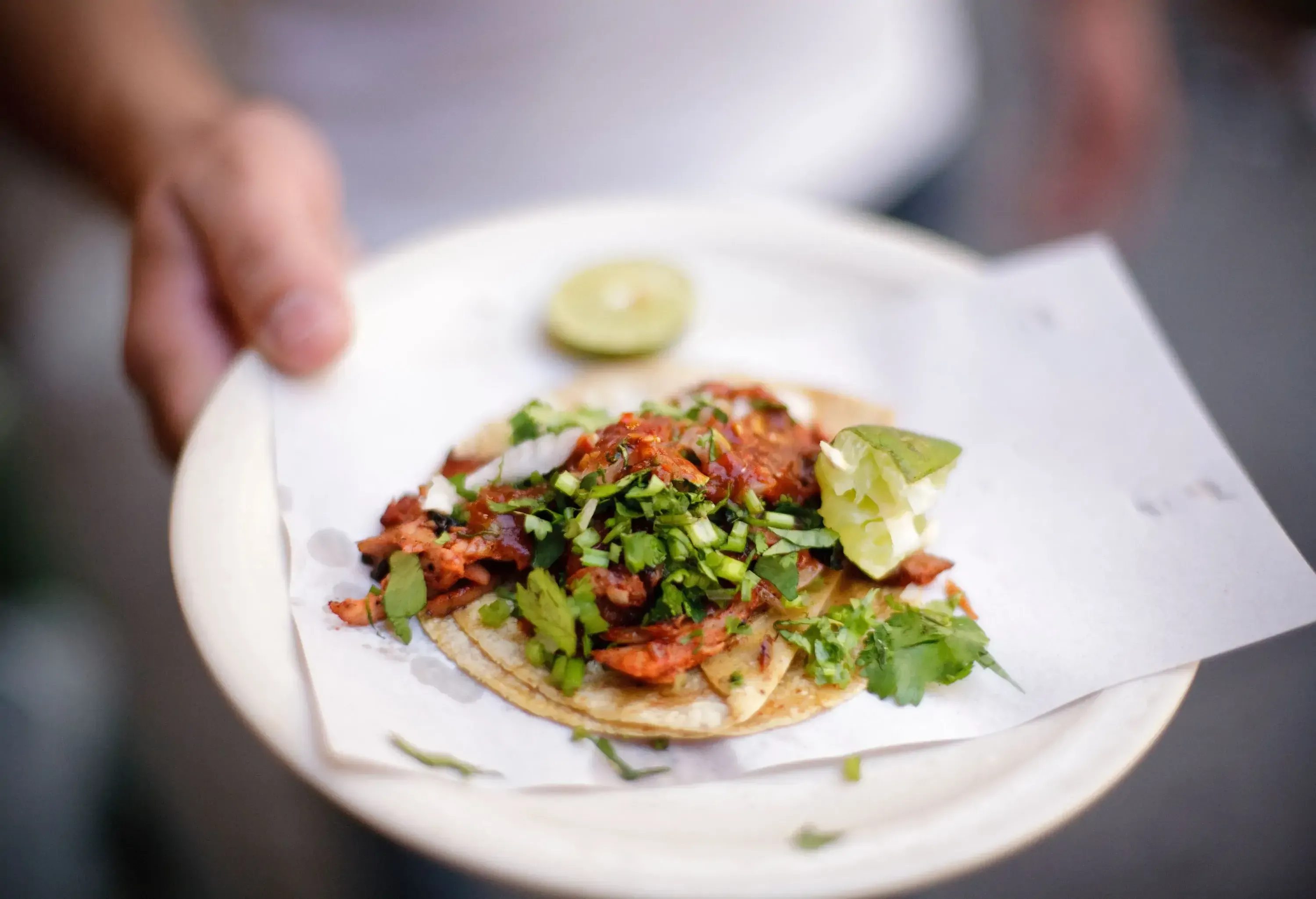 A plate with a taco garnished with herbs and spices.