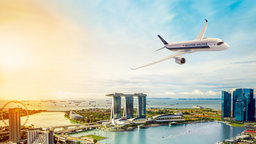 Günstige Flüge mit Singapore Airlines finden