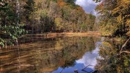 Hotels in North Olmsted