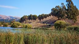 Hotels in Milpitas