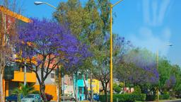 Aguascalientes Hotelverzeichnis