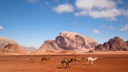 Hotels in Wadi Rum