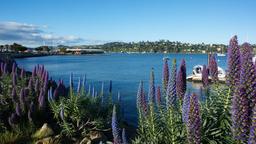 Sausalito – Ferienunterkünfte
