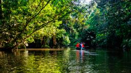 Hotels in Tortuguero