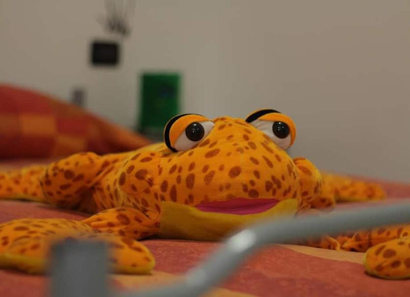 Sonstige Foto