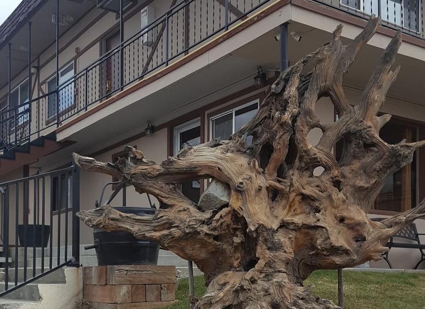 Außenansicht Foto