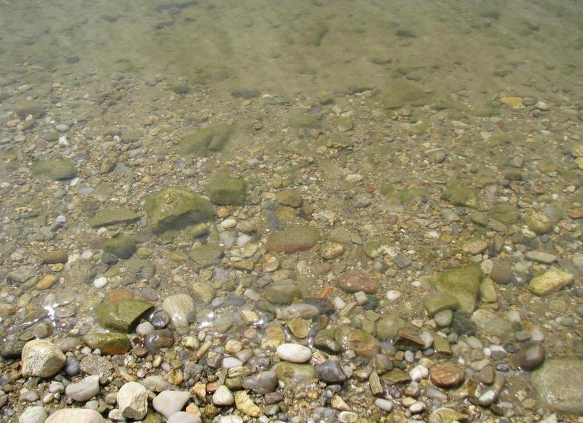 Sonstige Foto