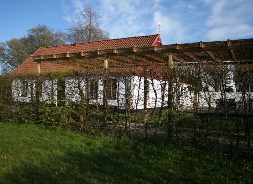 Sonstige Foto