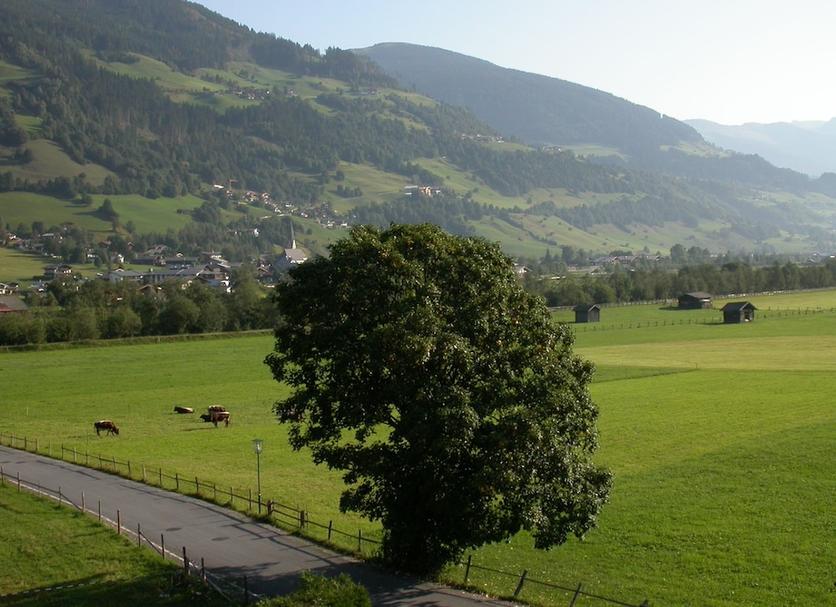 Außenansicht Foto