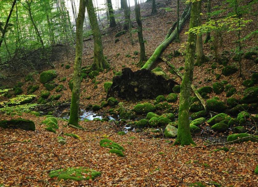 Außenansicht Foto