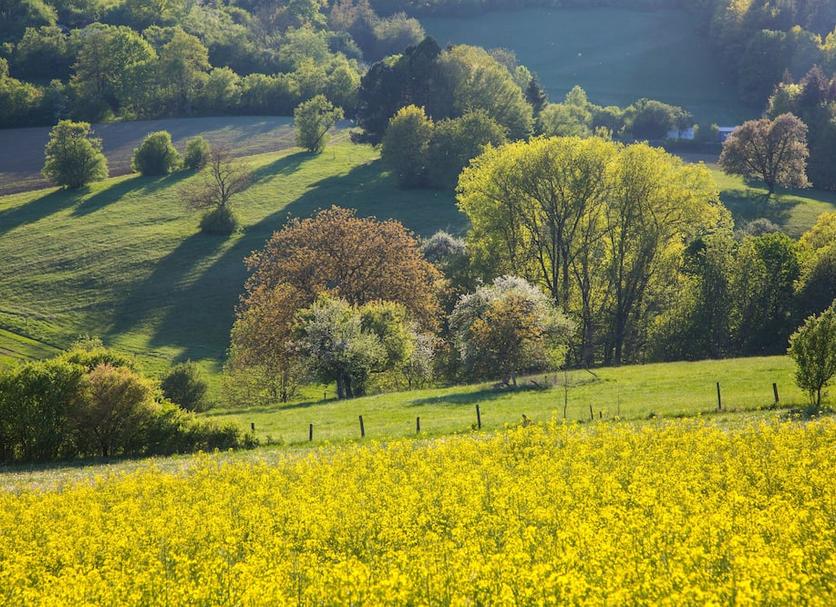 Außenansicht Foto