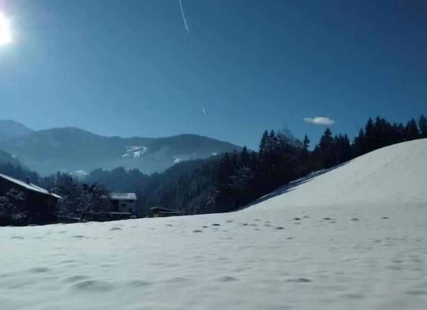 Sonstige Foto