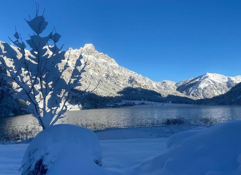 Außenansicht Foto