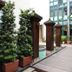 Sonstige