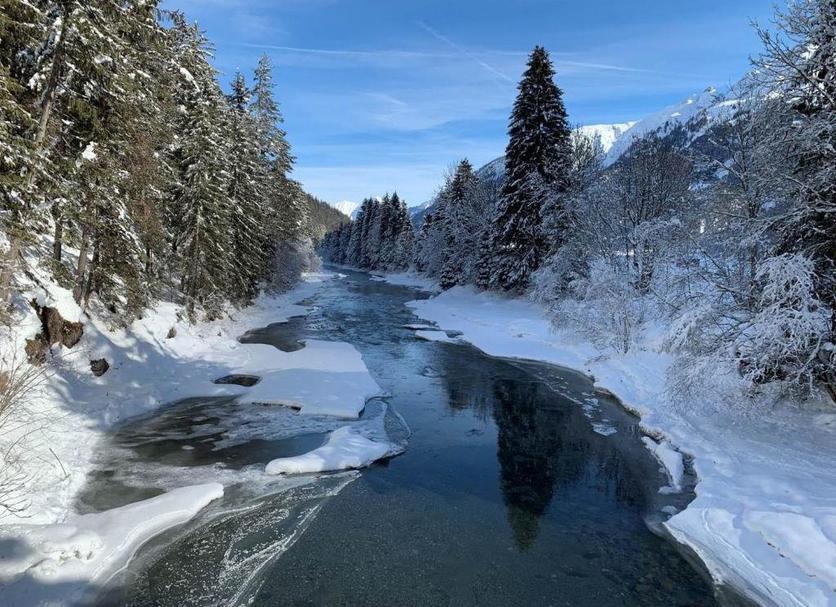 Sonstige Foto