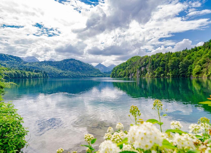Sonstige Foto