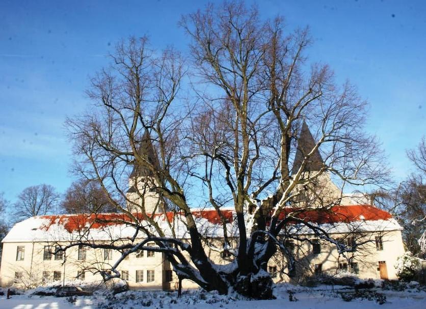 Außenansicht Foto