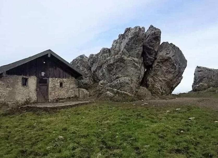 Sonstige Foto