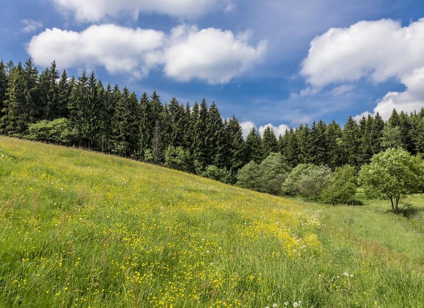 Außenansicht Foto