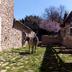 Sonstige