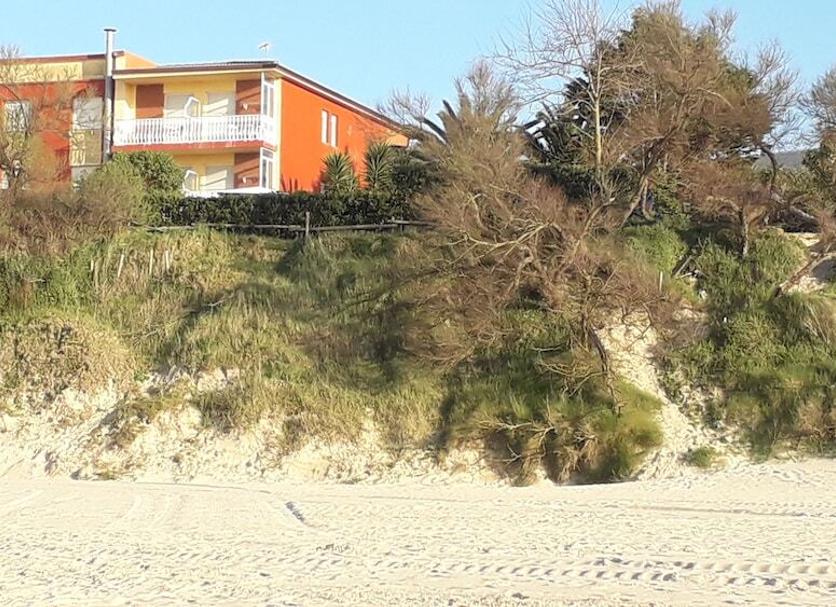 Sonstige Foto