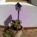 Sonstige