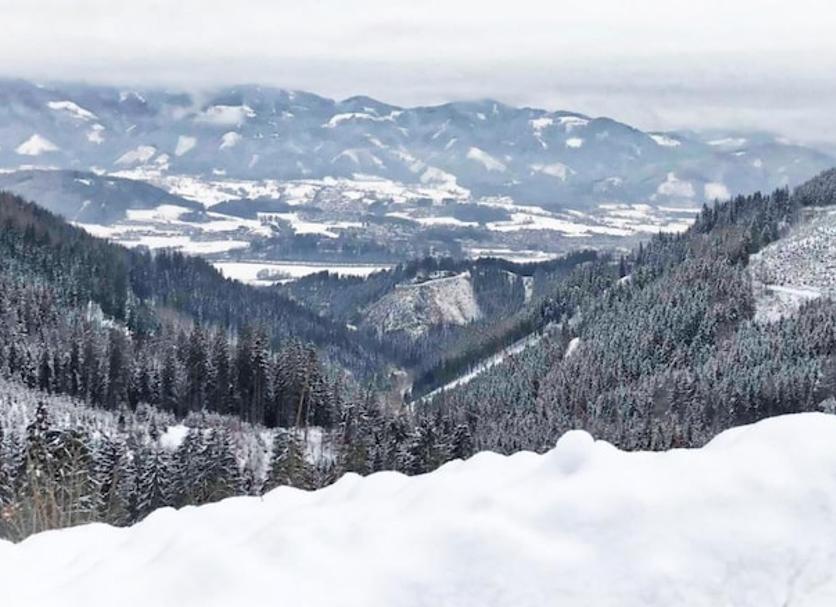 Außenansicht Foto