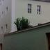 Sonstige