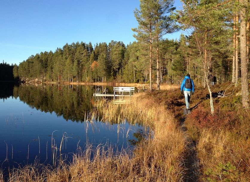 Sonstige Foto