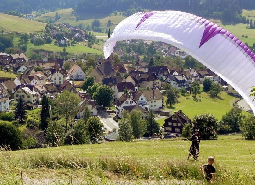 Sonstige Foto
