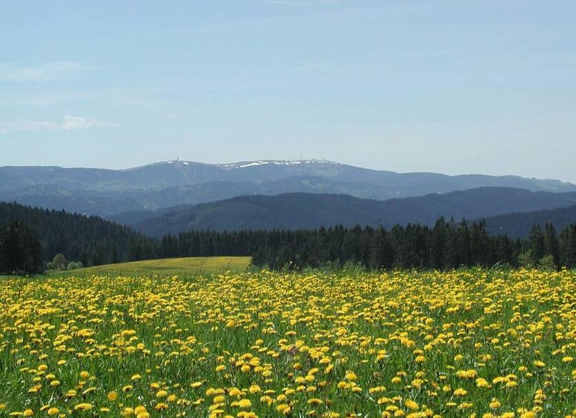Außenansicht Foto