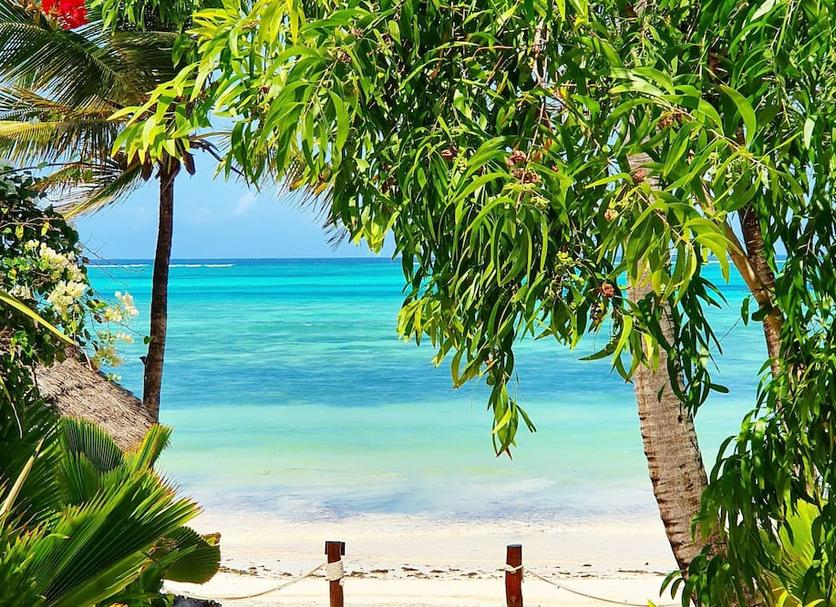 Strand Foto