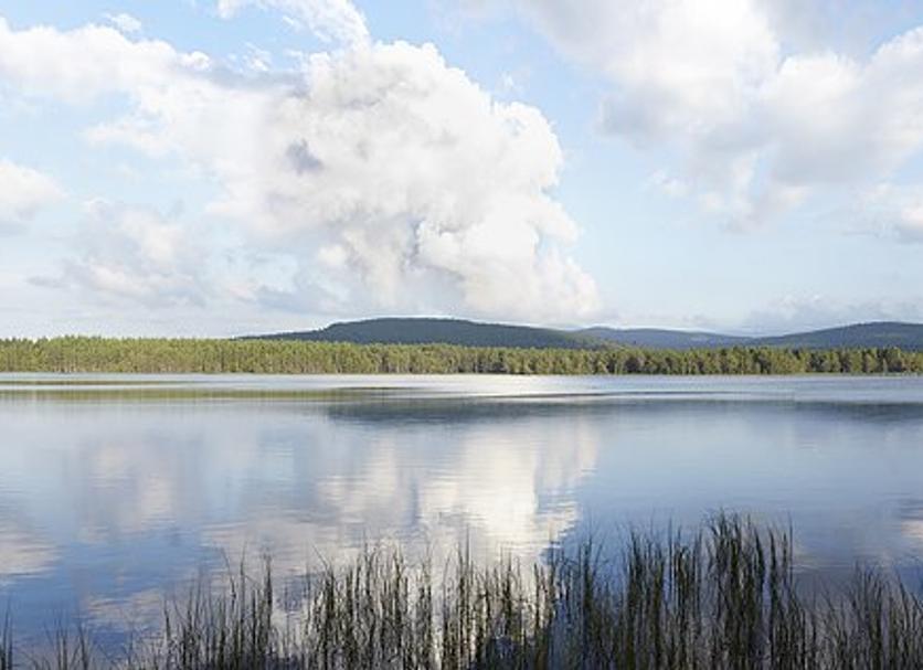 Außenansicht Foto