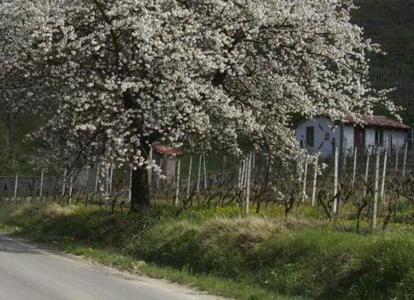 Außenansicht Foto