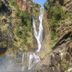 Sonstige