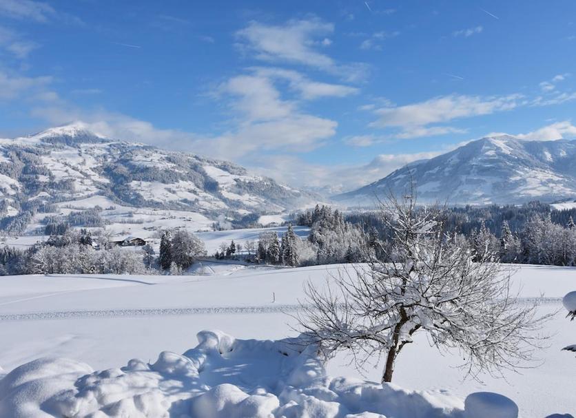 Außenansicht Foto