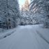 Sonstige
