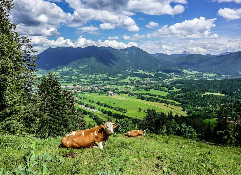 Außenansicht Foto