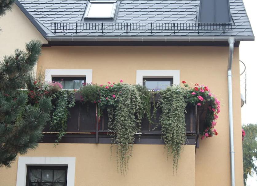 Außenansicht Foto