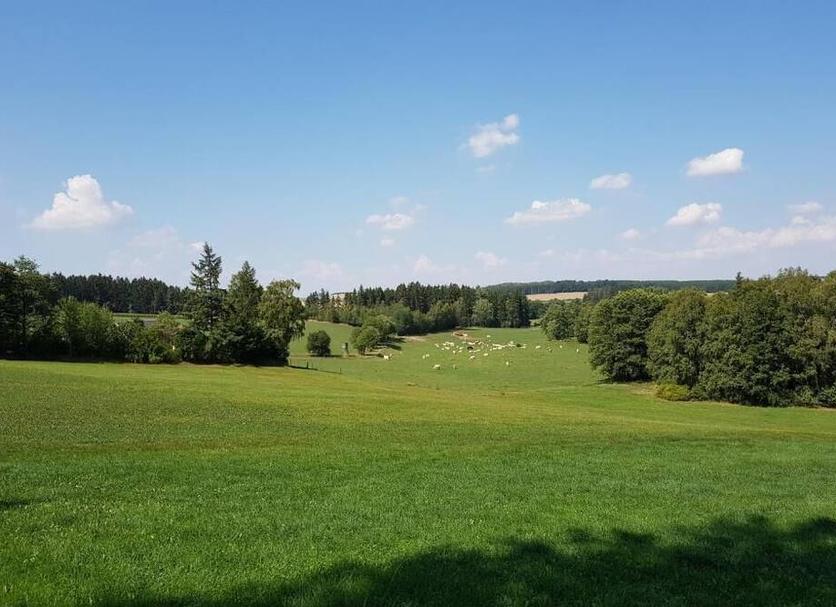 Außenansicht Foto
