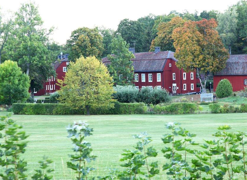 Sonstige Foto