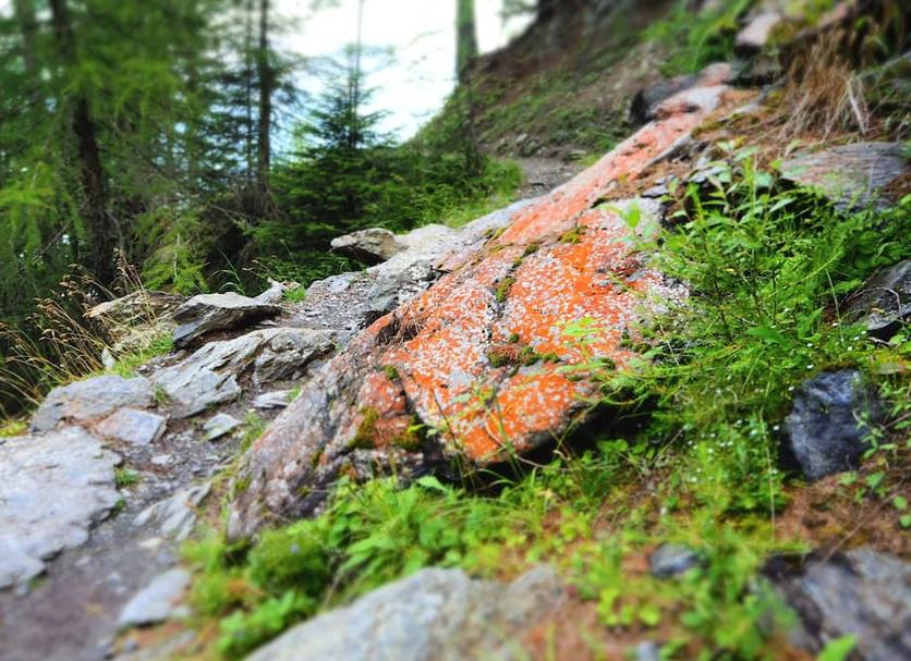 Sonstige Foto
