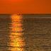 Sonstige