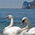 Sonstige
