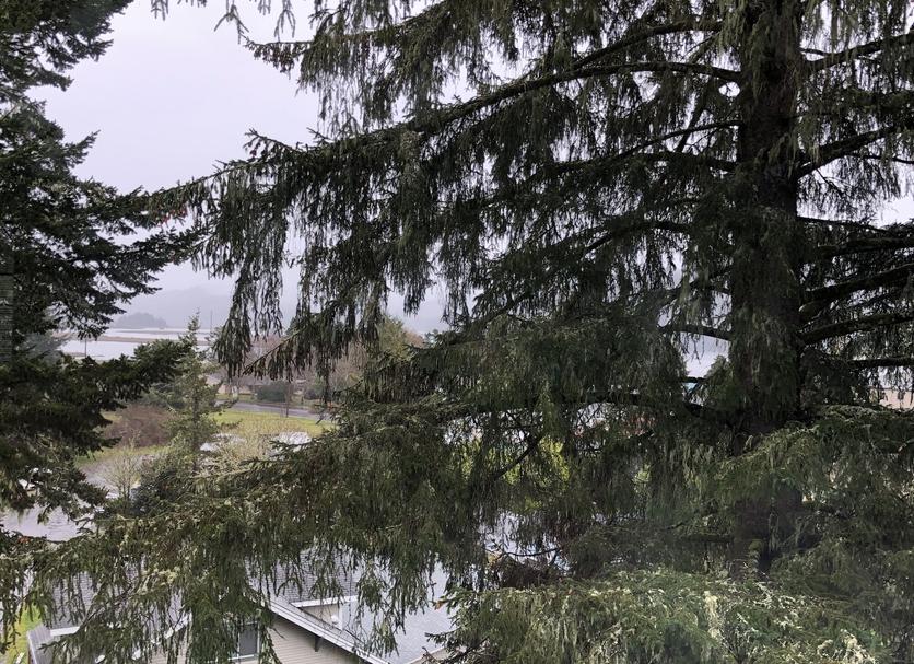 Außenansicht Foto