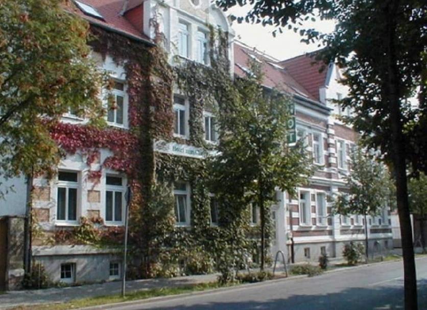 Sonstige Foto